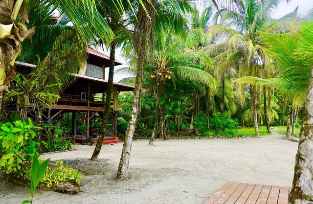 Welcome to our beach front eco-friendly home in Bocas De Toro!