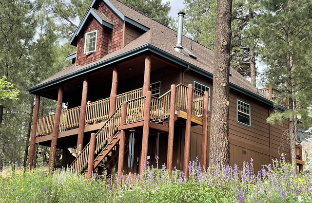 Welcome to Treehouse Cabin in the Pines. The forest is calling, adventure awaits