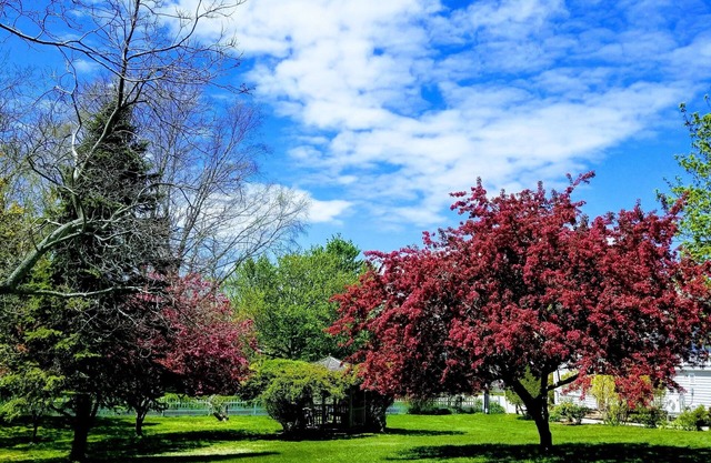 Whalewalk Inn and Spa