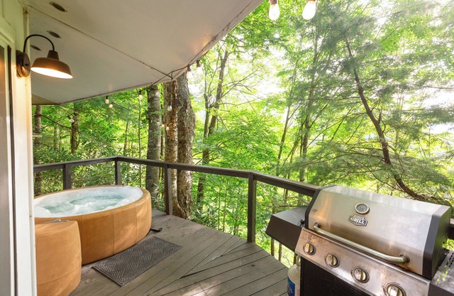 Whimsical Mountain Roundhouse Among the Trees