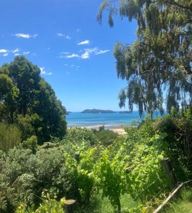 Whitebait Point