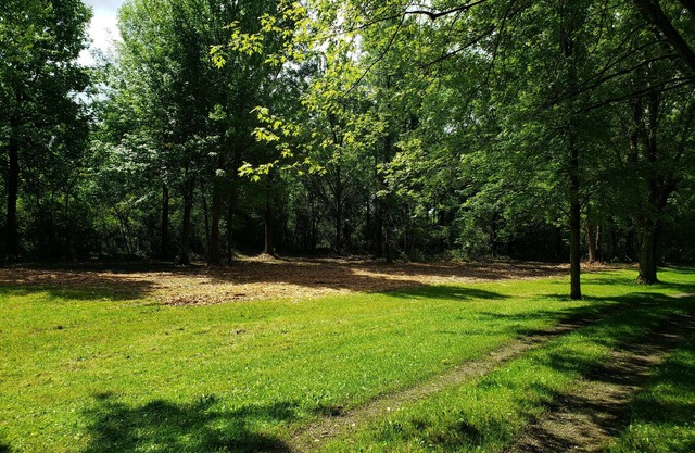 Whitetail Meadows RV Campsite