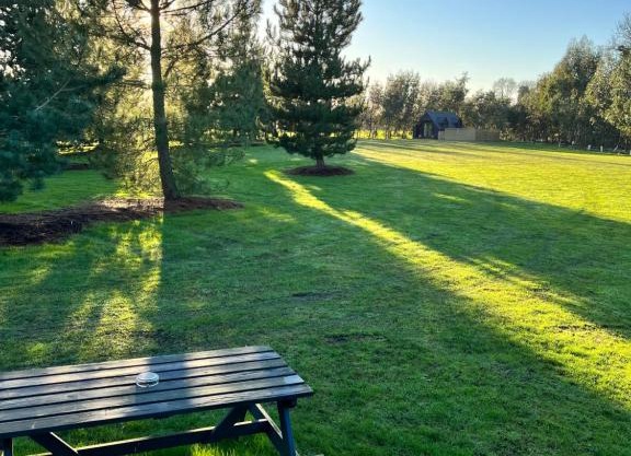 Wildflower Fisheries