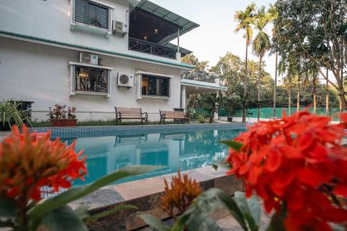 Wildwood Retreat - Awas Beach
