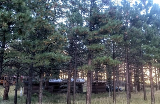 Windes' East Fork Retreat: Private, By the river, Bird Watching, Weekly Rate