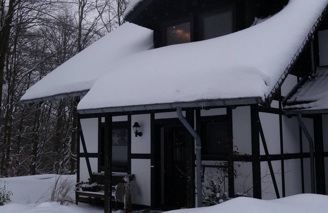 Winterberg, quiet, comfortable 4-person vacation home in the Neuastenberg ski village