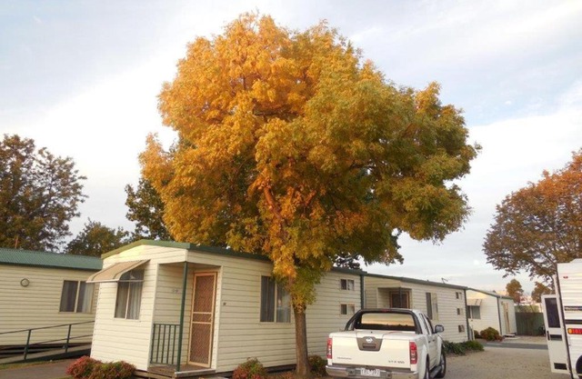 Wodonga Caravan & Cabin Park