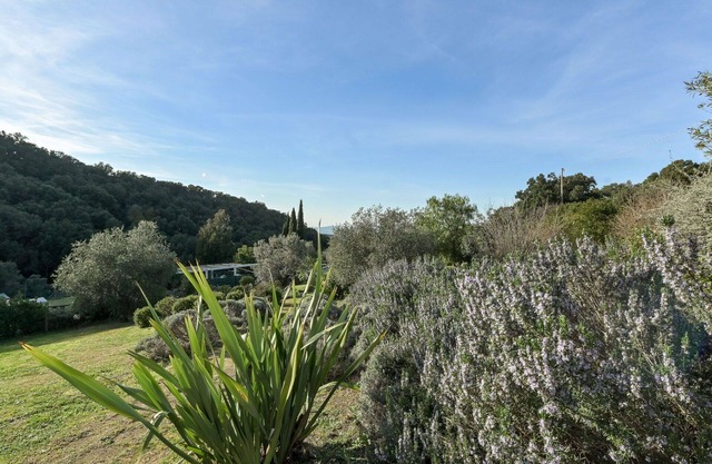 Wonderful private villa for 7 people with WIFI, private pool, patio, pets allowed and panoramic .