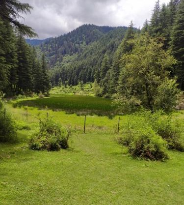 Yash wooden home stay tirthan valley