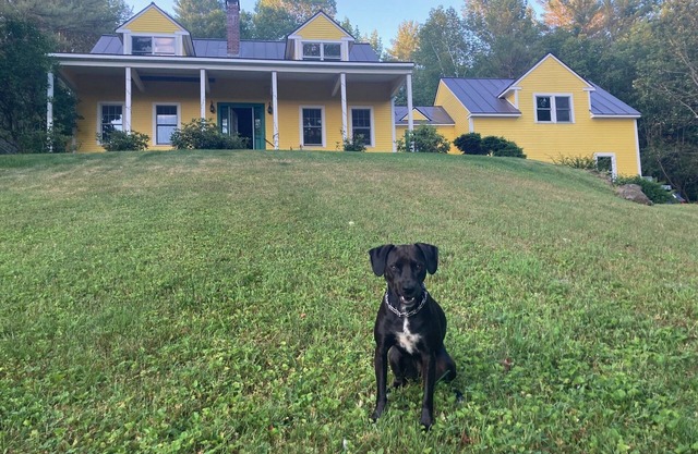 Yellow House on the Hill, 21 Acres, Views, Woodstock Getaway, Dog-friendly