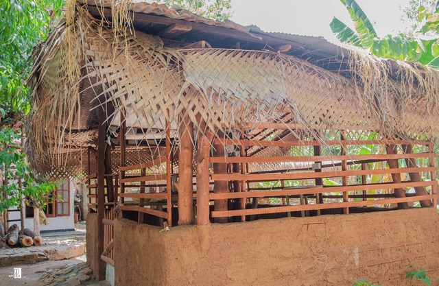 Ynot Udawalawa Safari & Resort