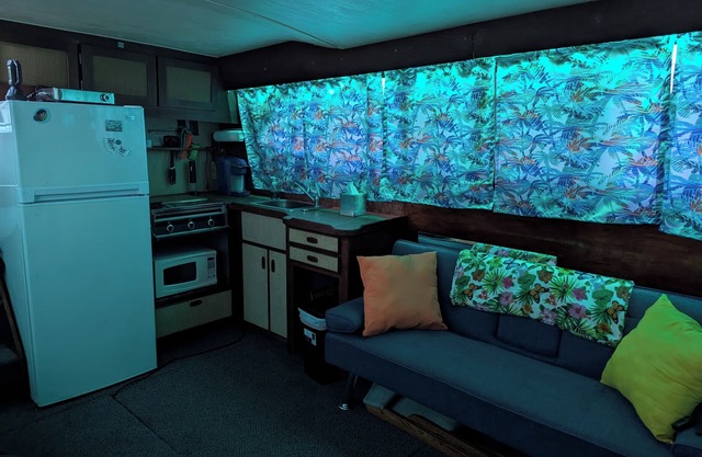 Your Tropical Oasis awaits in Hampton Roads Virginia