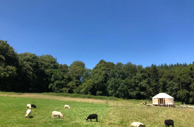 Yourte douillette, sauna, petite rivière, promenades bucoliques et sauvages