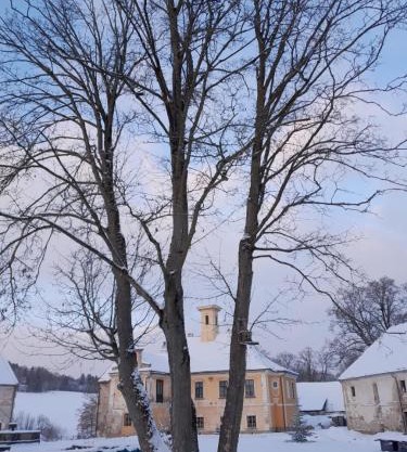 zámek Nemilkov