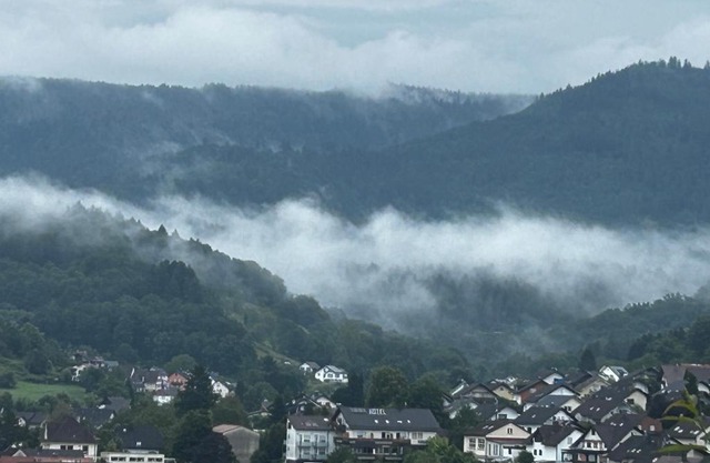 Zeltplatz Großer Wald