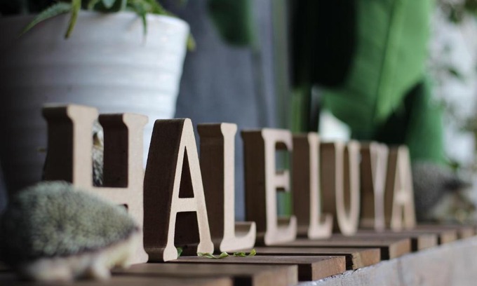 Fujikawaguchiko House | 晴家(HALELUYA) Guest House