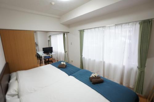 Susukino Apartment | 豊水すすきの駅から徒歩数分 IK Minami 6 Jo Residence 101 IK南6条レジデンス