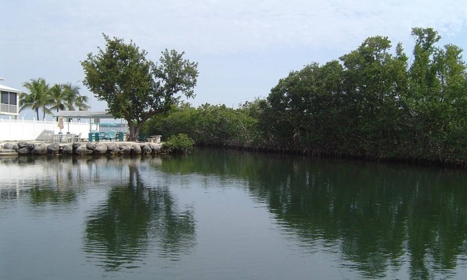 Cross Key Waterways House | 2/2 Oceanside house within walking distance to Pennekamp state park