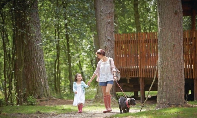 Pickering Cabin | 2 bedroom accommodation in Nr Pickering