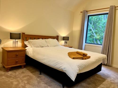 Epsom Bed & Breakfast | 2 Bedrooms in Urban Sanctuary B&B