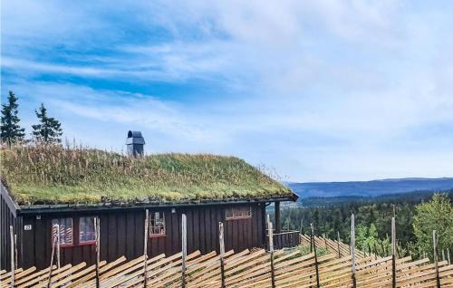 Skeikampen House | 3 Bedroom Awesome Home In Svingvoll