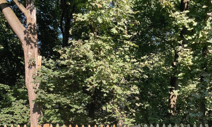 Peekskill House | 3 Bedroom - Hudson Valley House