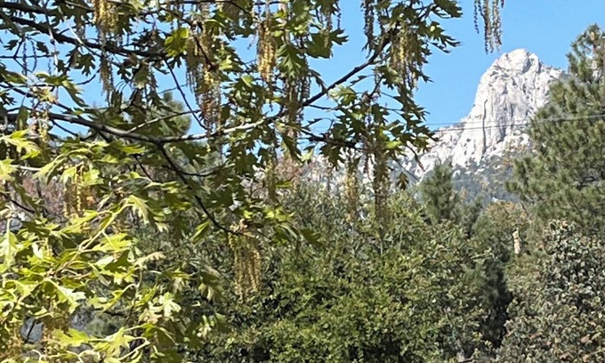 Idyllwild House | 3-Bedrooms in Idyllwild - AC, nJacuzzi, Sauna, Fitness-Game Room, Epic Views