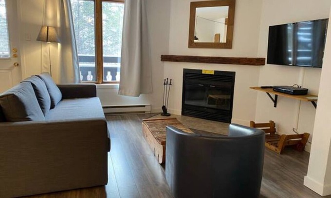 Saint Ferreol les Neiges Condo | [305] Cozy 1 bedroom condominium with a view on Mont-Sainte-Anne AC
