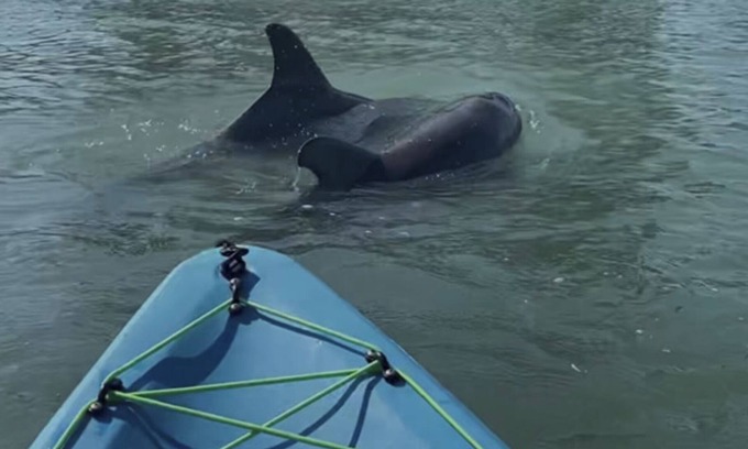 Cocoa Isles Country Club Condo | 321 lift off, rockets and dolphins from your window