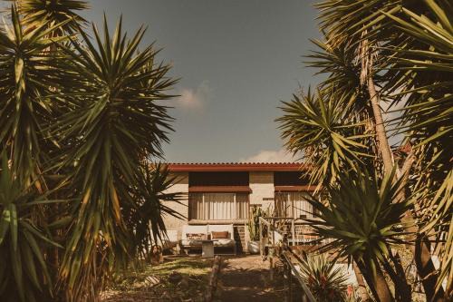 Bundeena House | 4 Bedroom Mid-Century Home with Ocean Views