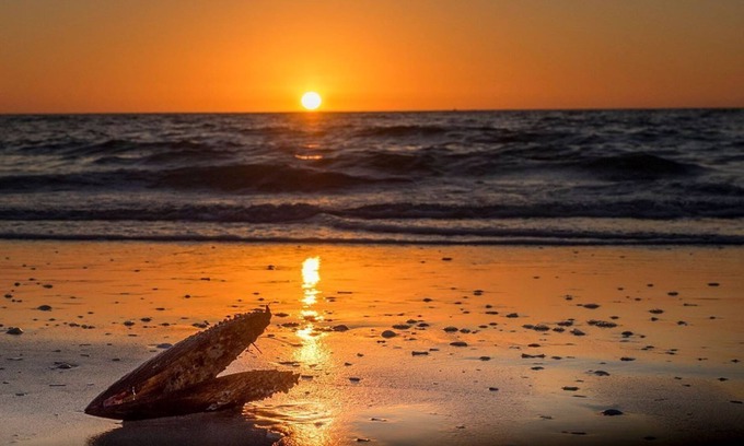 Marco Island Condo | 5 Star Reviews- 5th FL Condo- Gulf View, Direct Beach Access, Marriott across St