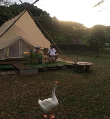 Phaya Yen Other | 5m Belle Tent for 4 people