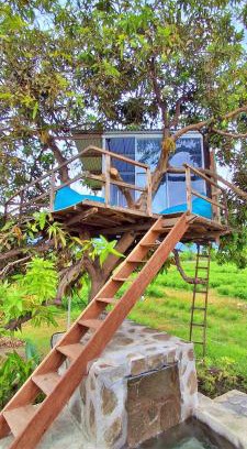 Kalisada Other | A Mango Tree House with a private swimming pool