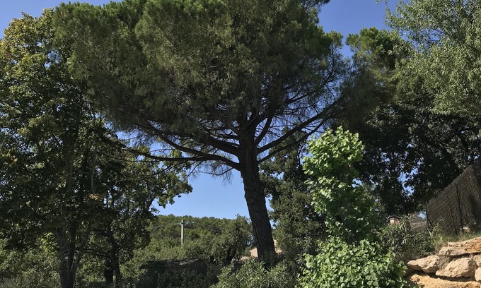 Pont-Saint-Esprit Other | A paradise in Provence. Breathtaking view. Sleeps 9. Swimming pool. Grotte Chauvet.
