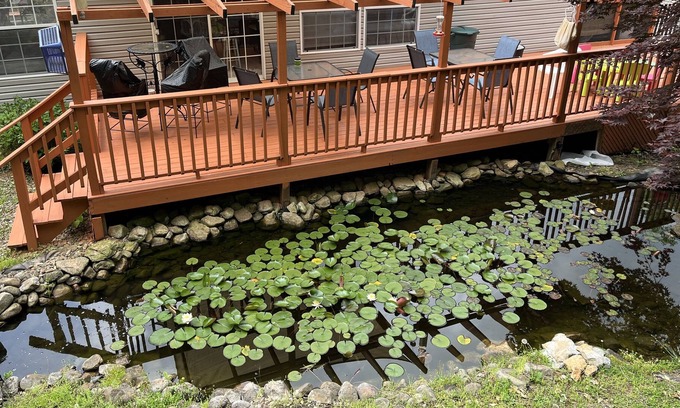 Maynardville House | A quiet hideaway close to Norris Lake just a half mile to Hickory Star Marina.