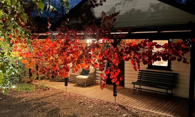 Hepburn Springs House | A Relaxing Retreat- easy walk to Hepburn. 5GWIFI&NETFLIX