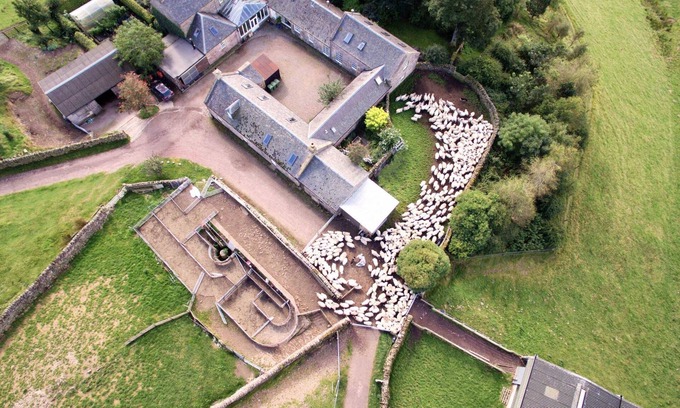 Penicuik Cottage | A stylish country cottage near Edinburgh. Wood-fired sauna. Pet friendly.