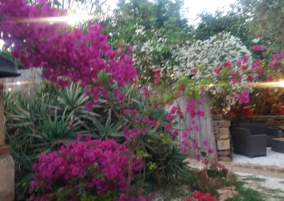 La Banca House | Affittacamere CALAMOSCHE