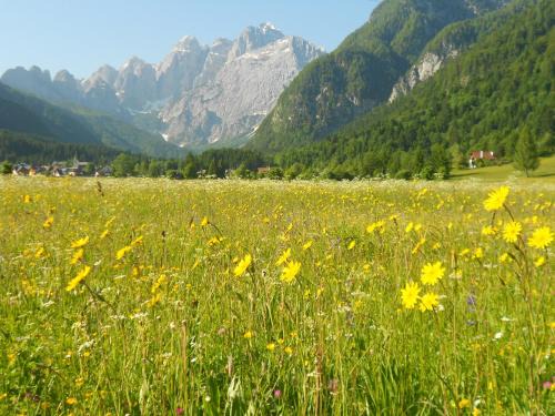 Malborghetto Valbruna Bed & Breakfast | Affittacamere Krajnc