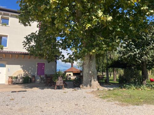 Pescantina Apartment | Agriturismo Corte Bonetti - Appartamento Il Salice