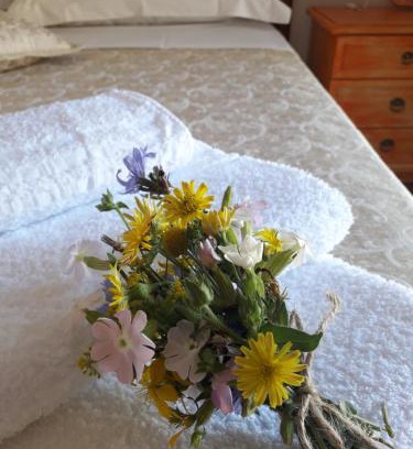 Guarcino House | Agriturismo L'Arco