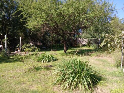 Cosquin House | Aires coscoinos