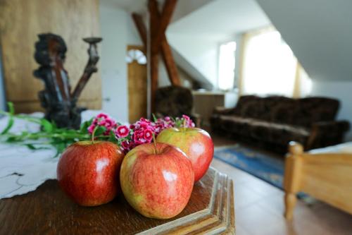 Ostroda House | Aktywna Agroturystyka