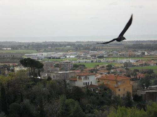 Tarquinia Bed & Breakfast | al castello