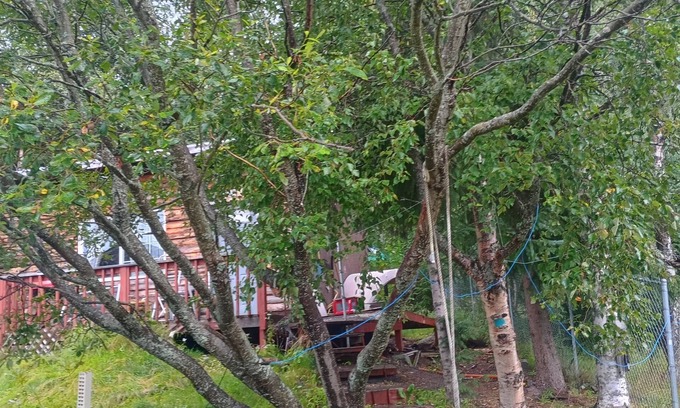 Bird Creek Cabin | Alaskan Cabin near Girdwood, Aleyska, and Anchorage