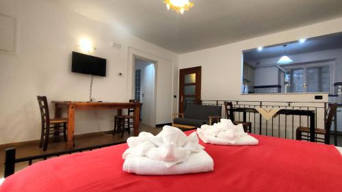 Assisi Apartment | ALL'OMBRA DI SANTA CHIARA, 4 minuti da San Carlo Acutis, NUOVO con la "solita" QUALITÀ di MyAssisiSuite, 140 mq, Piano Terra 2 Ingressi 3 Camere 2 Bagni, Idromassaggio, Perfetto - La nostra FORZA è la DISPONIBILITÀ Live 24-7, MÓWIMY PO POLSKU