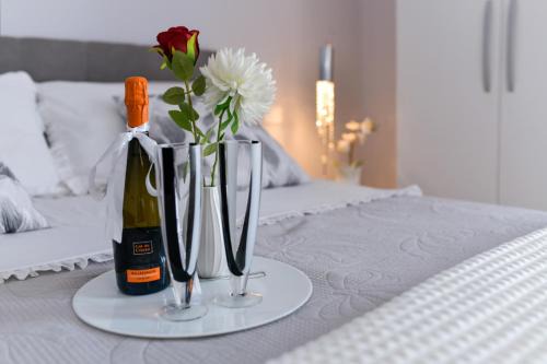 Civitavecchia Apartment | Alloggio Turistico Sea Port - Next to the Cruise Ship Free Shuttle Terminal