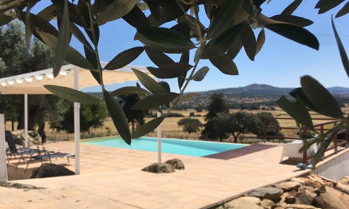 Fortios House | Almojanda 3 Olive Tree