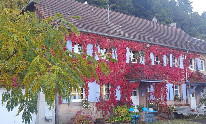 Fouchy Cottage | Alsace Cottage leaning against the hill overlooking the valley 15min from Haut-Kœnigsboug