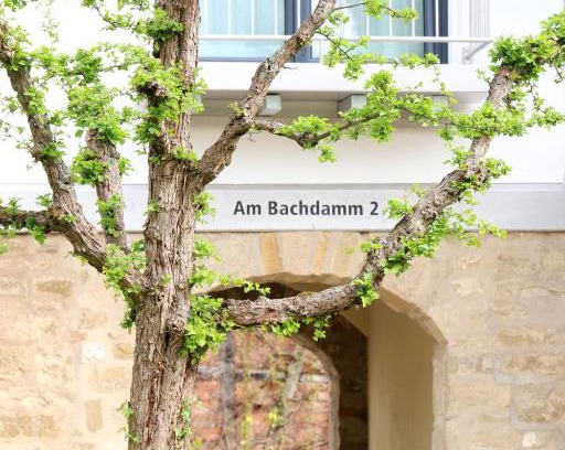 Sinsheim Apartment | Alte Stadtmauer - Apartment